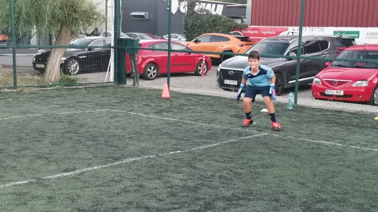 disciplină